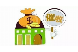 西市债务清欠服务